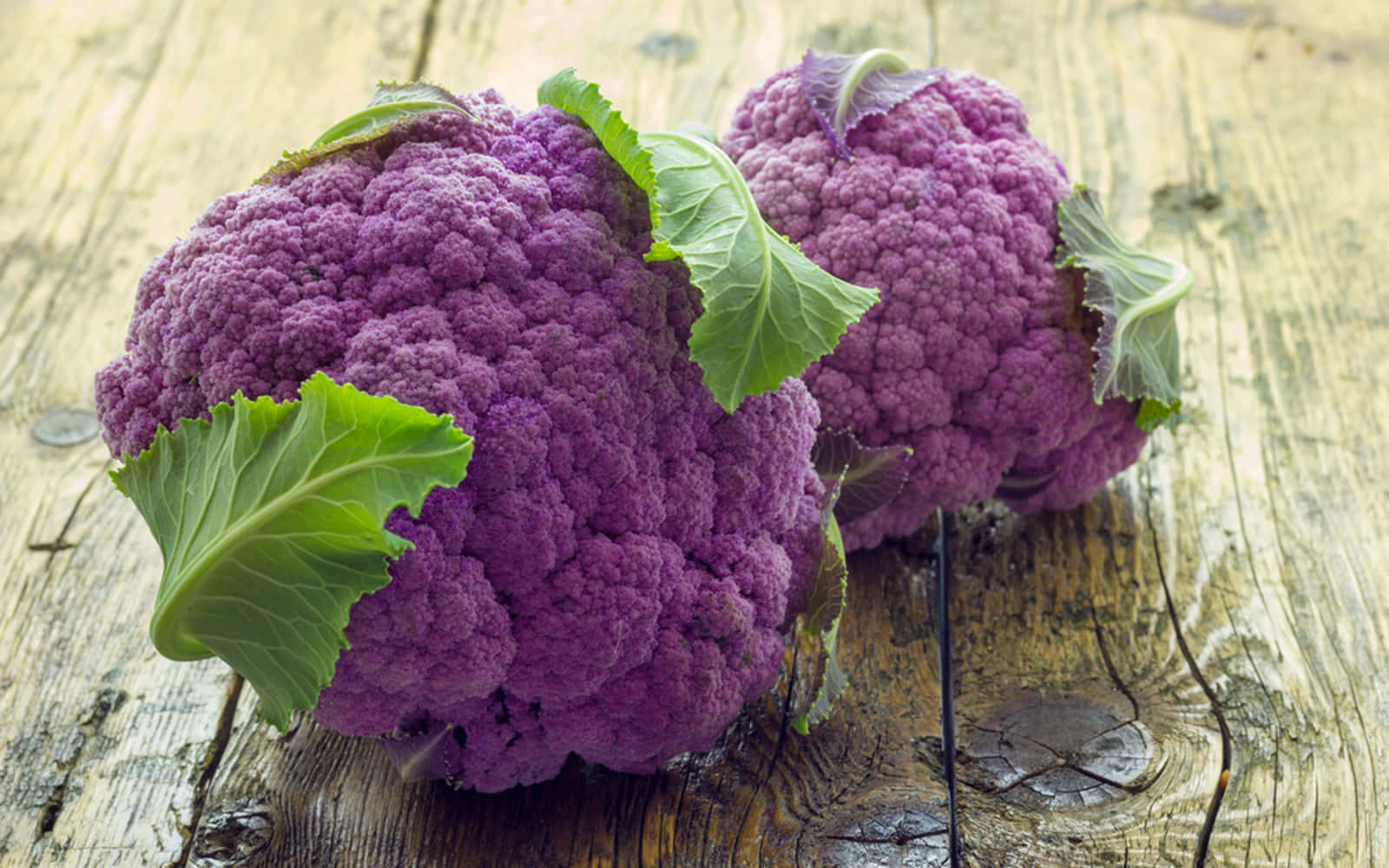 Delicious & Healthy Purple Cauliflower Wallpaper