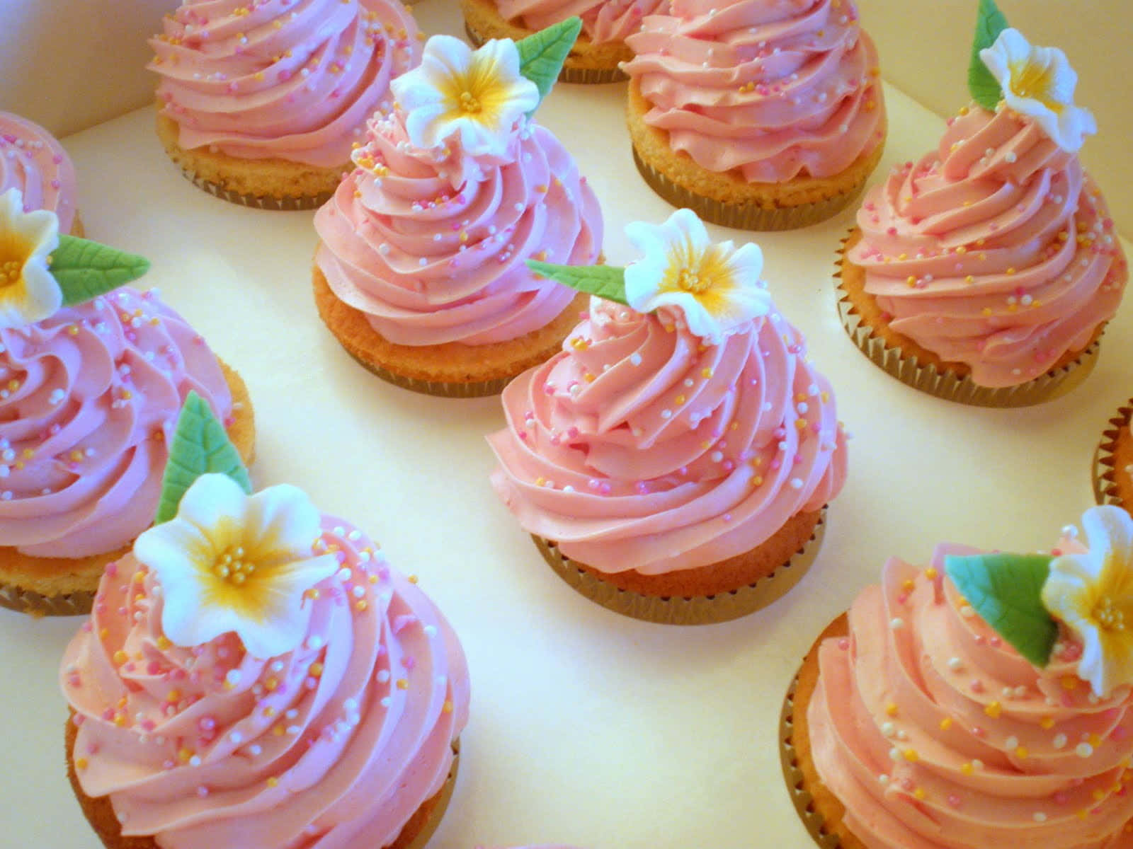 Delicious Pink Cupcakes Wallpaper