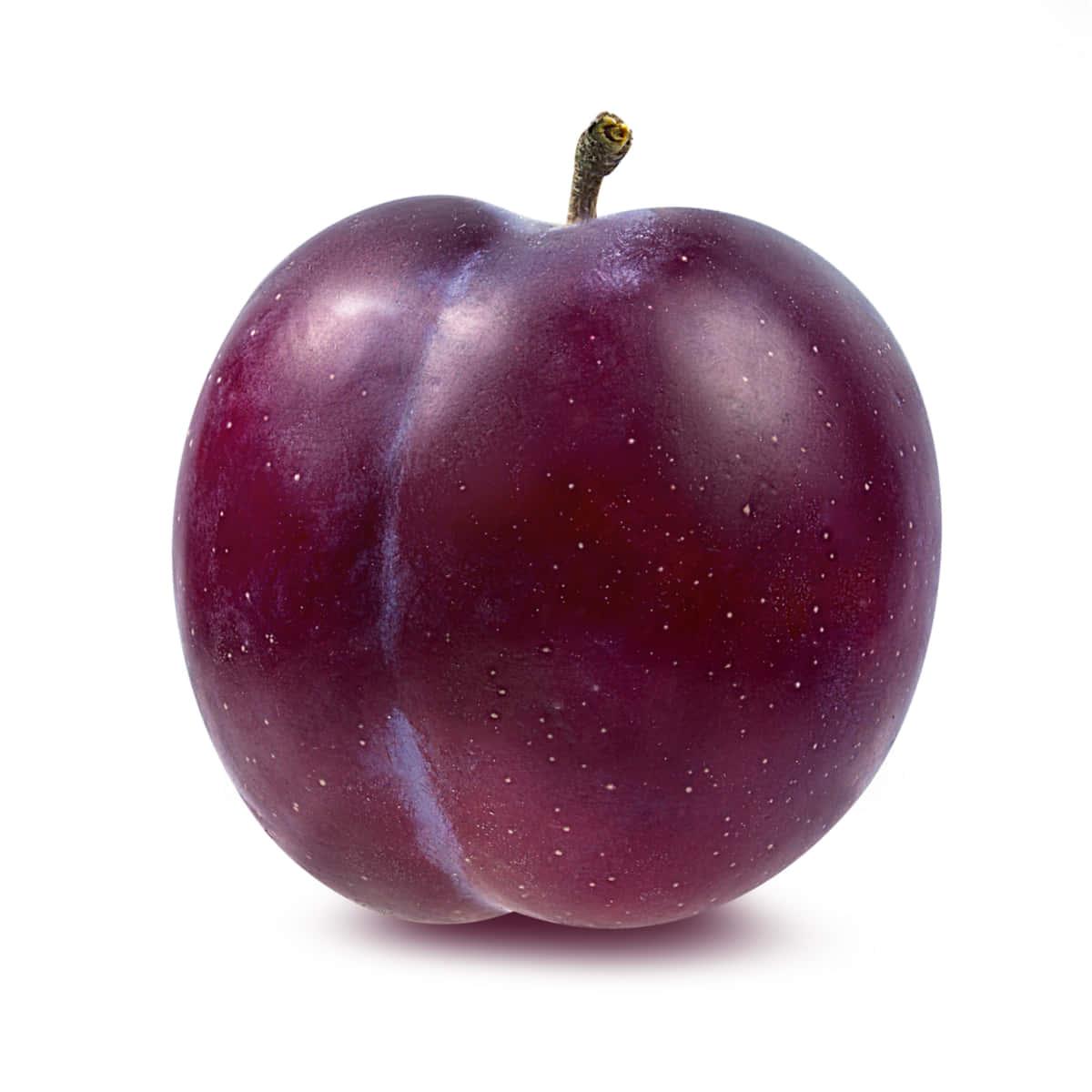 Delicious Purple Plums Wallpaper