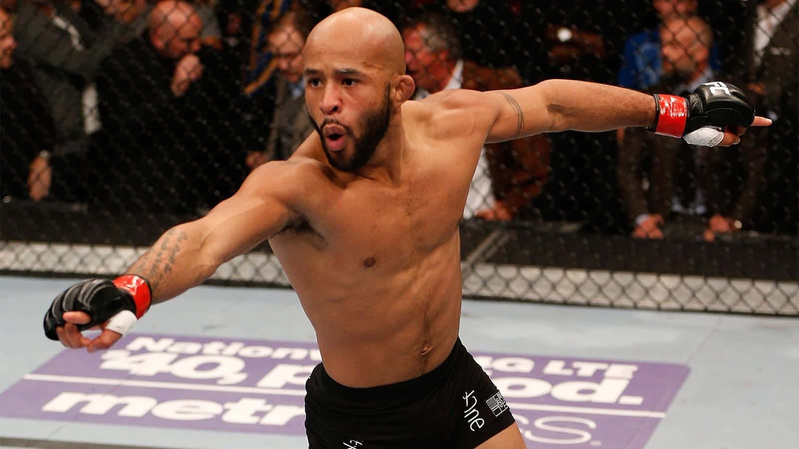 Demetrious Johnson One Flyweight Champion Wallpaper