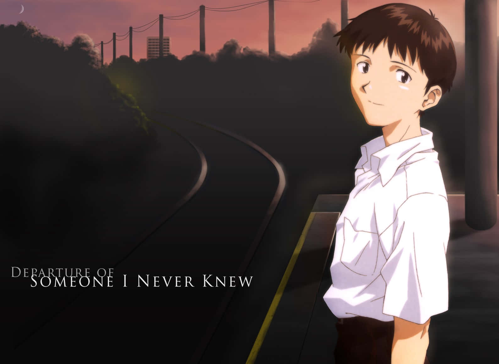 Departure Of Someone I Never Knew Shinji Ikari Wallpaper