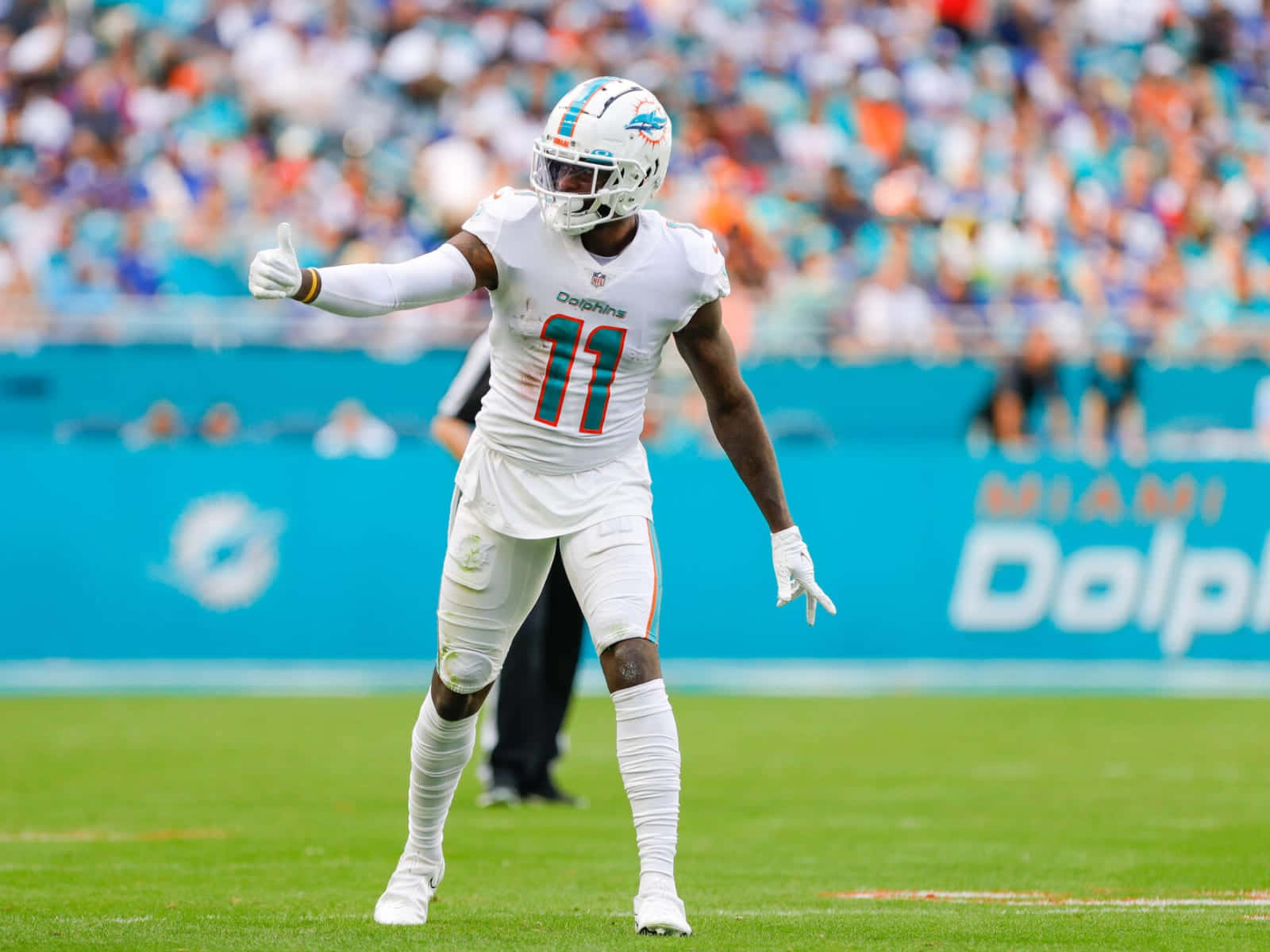 Devante Parker Miami Dolphins Game Action Wallpaper