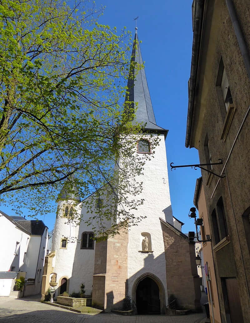 Diekirch Church Steeple Springtime Wallpaper