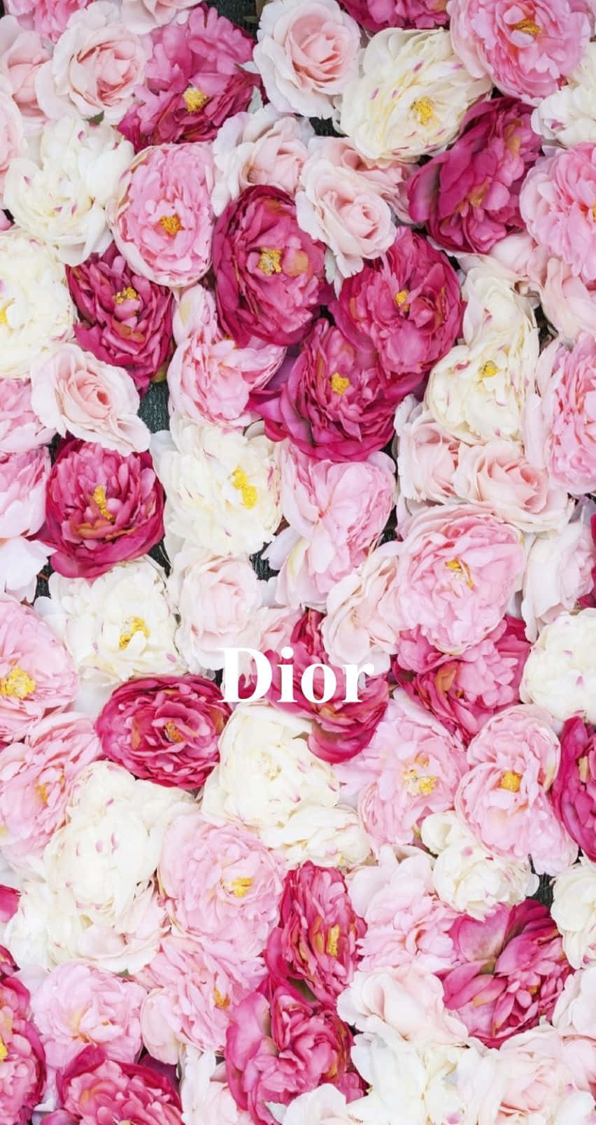 Dior Logo Floral Backdrop Wallpaper