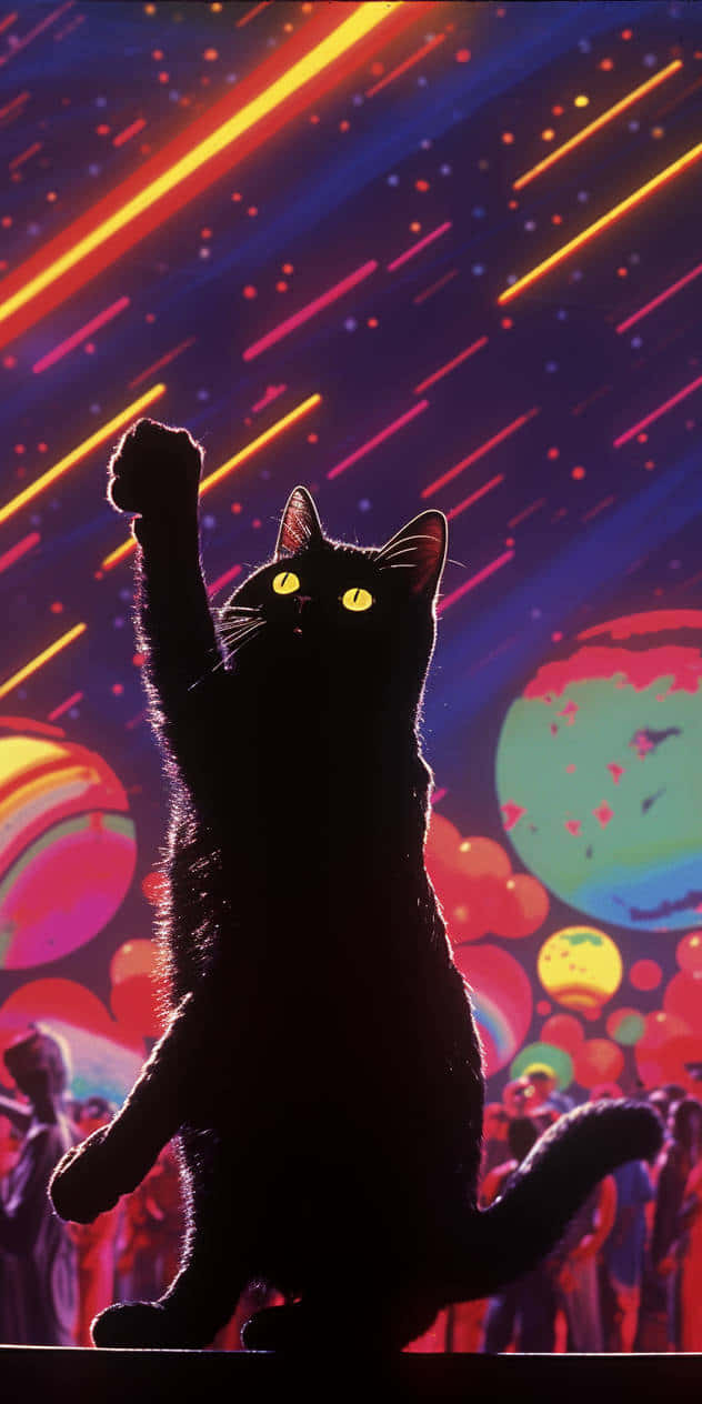 Disco Night Fever Cat Wallpaper