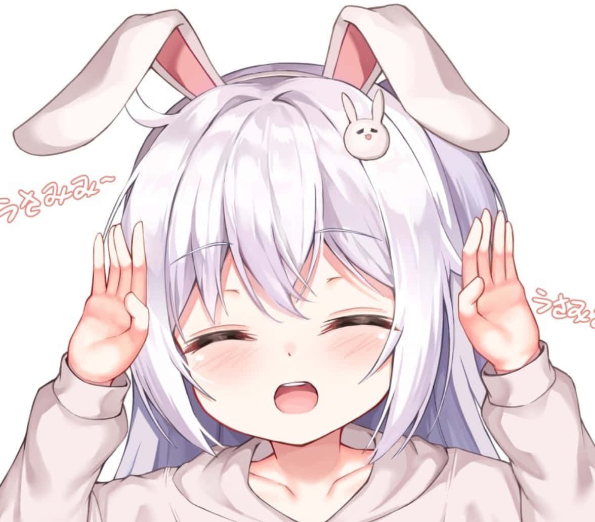 Discord Anime Pfp Happy Bunny Wallpaper