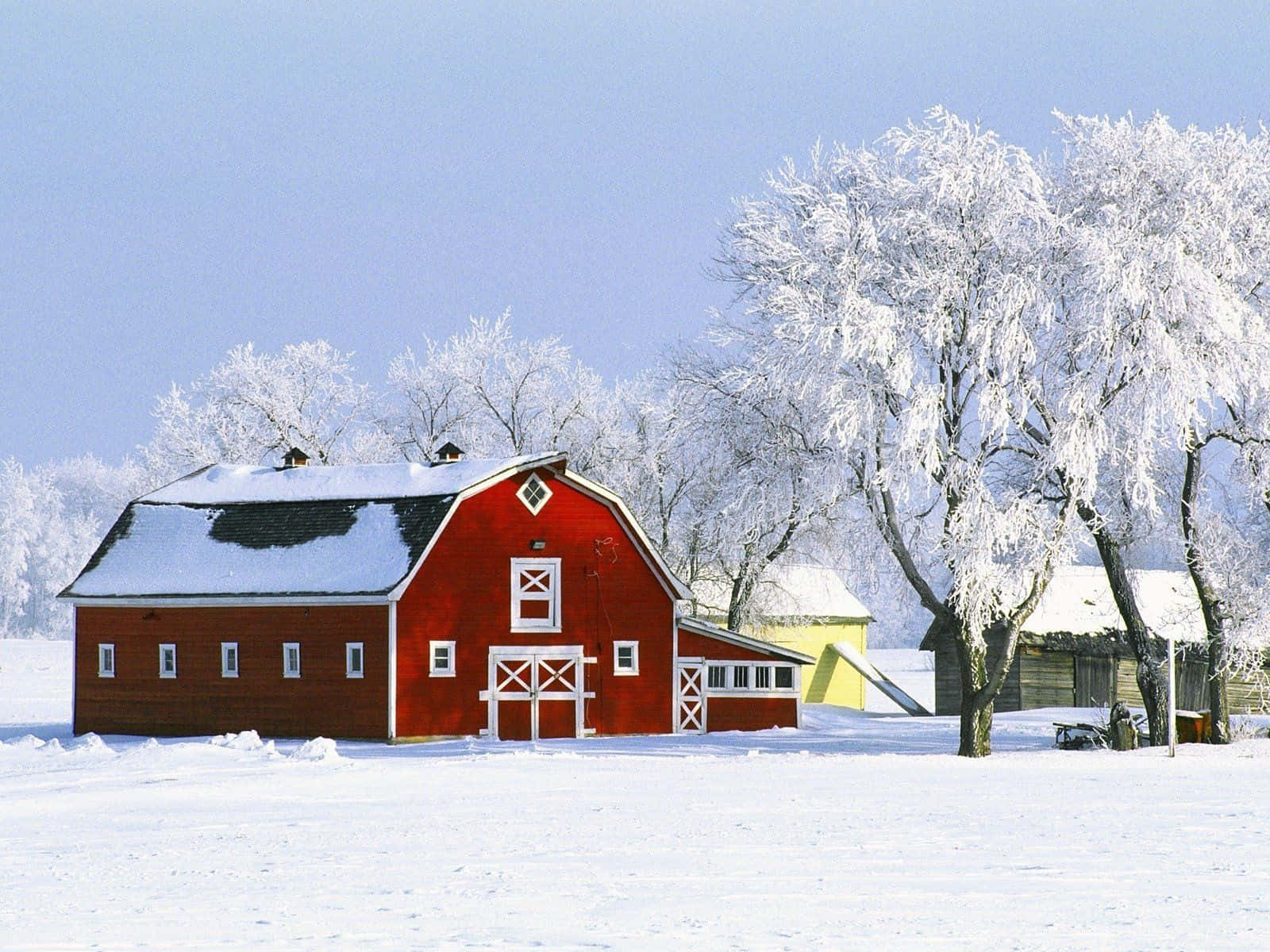 Discover Beauty In Snowy Old Winter Wallpaper