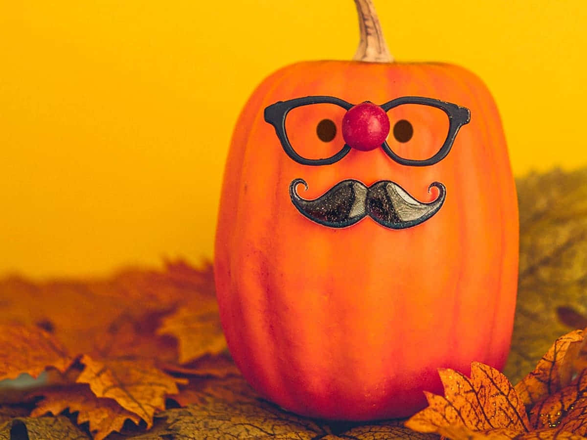 Disguised Pumpkin Halloween Fun Wallpaper