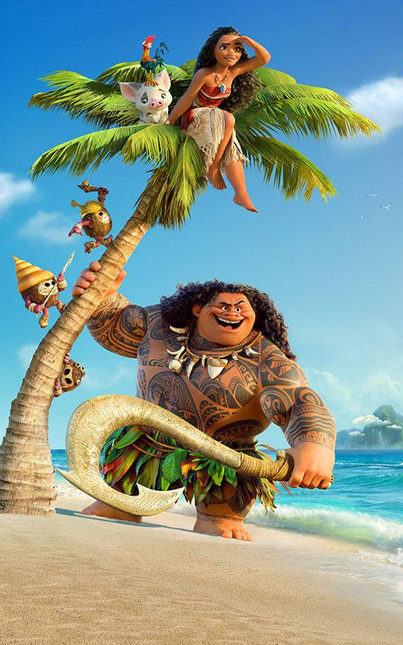 Disney Moana 4k Characters Wallpaper