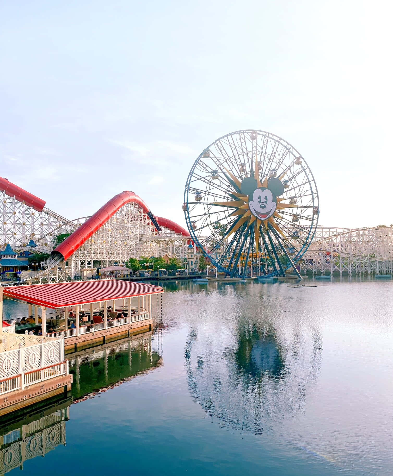 Disneyland California Adventure Park Ferris Wheel Wallpaper