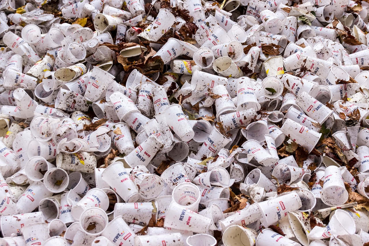 Disposable Cups In The Trash Wallpaper