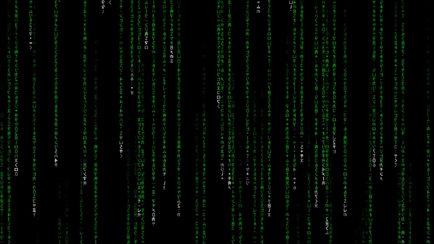 Dive Into The Matrix Wallpaper