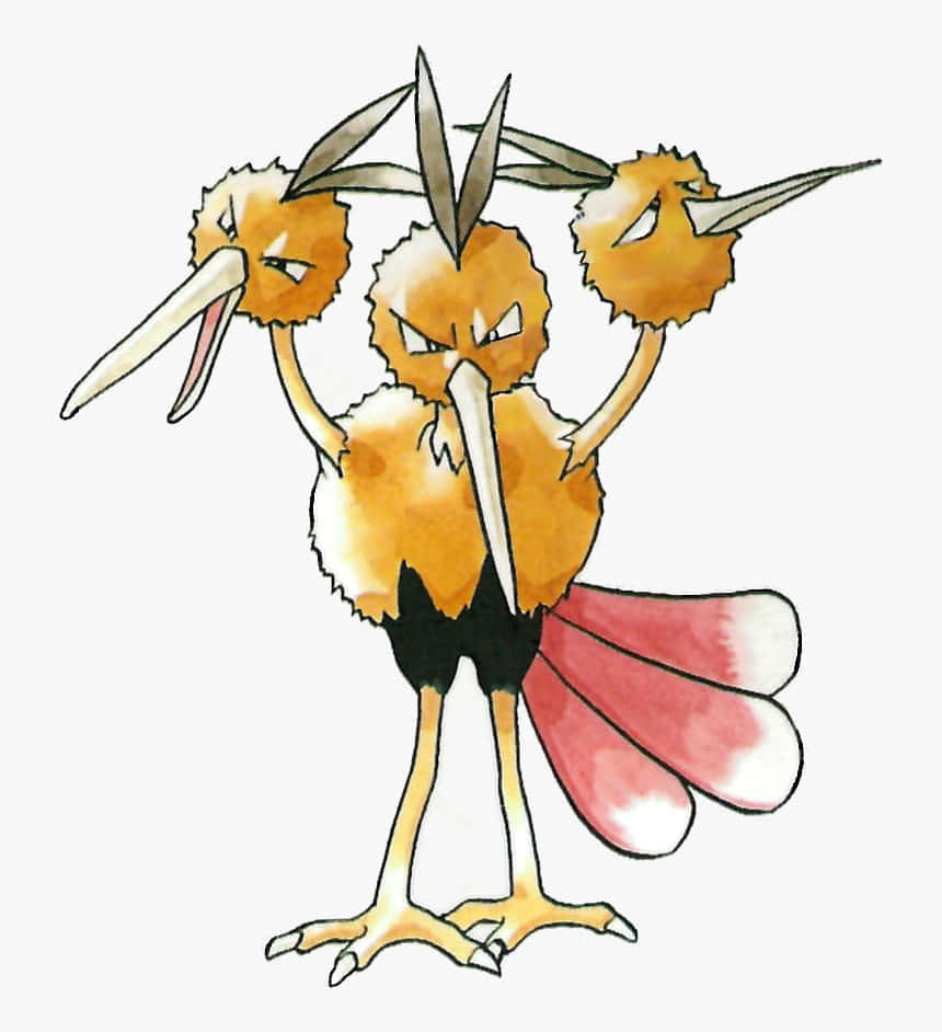 Dodrio Illustration In White Wallpaper