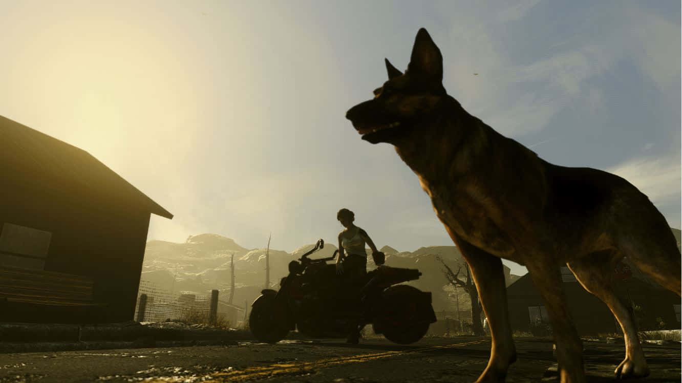 Dogmeat, The Loyal Canine Companion In Fallout 4 Wallpaper