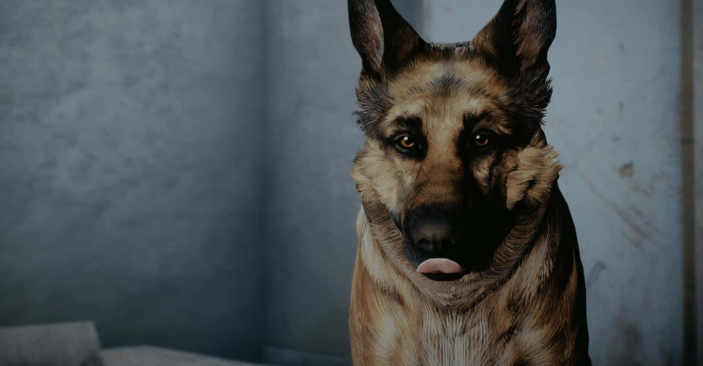 Dogmeat, The Loyal Canine Companion In Fallout 4 Wallpaper