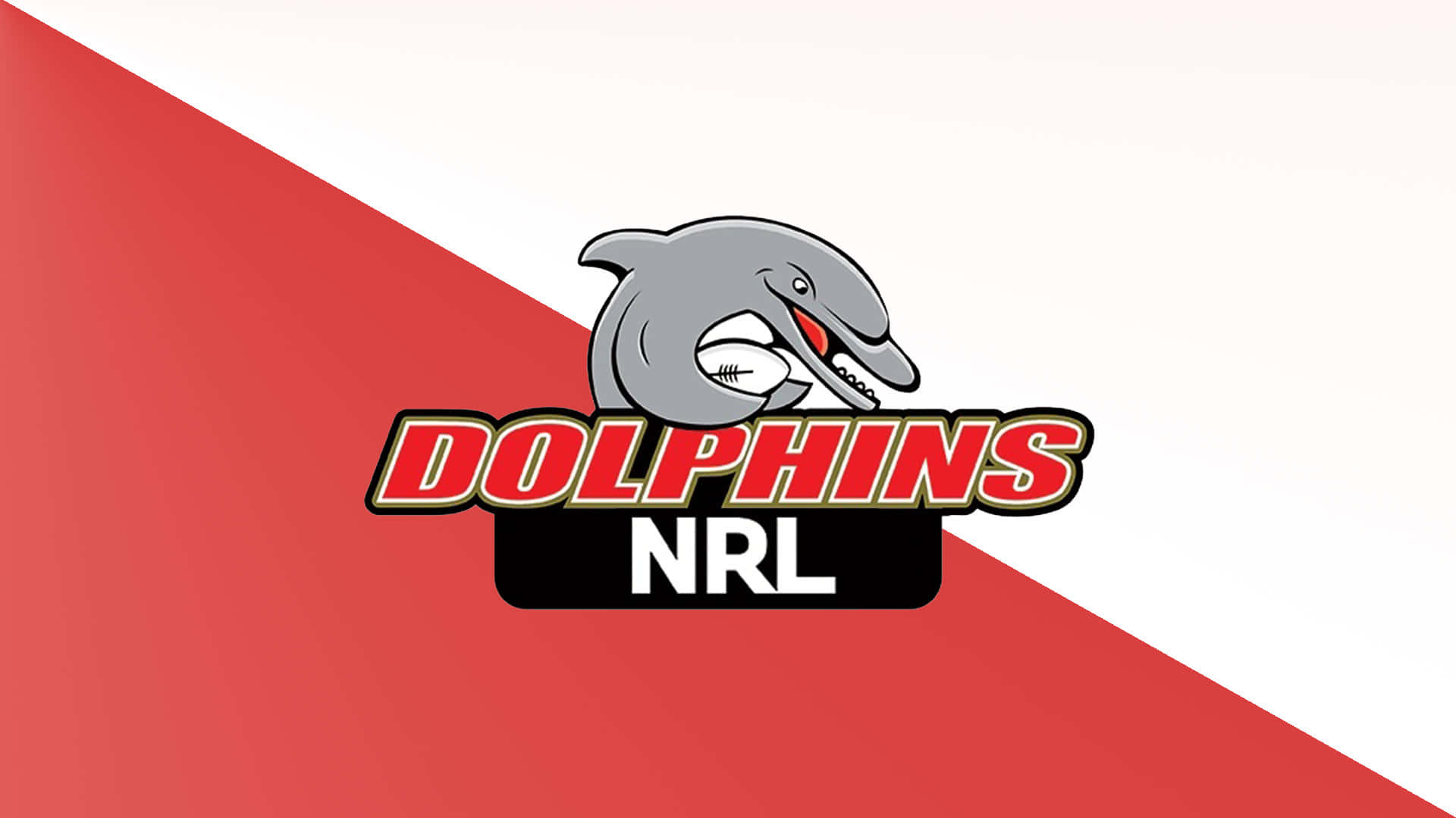 Dolphins Nrl Wallpaper