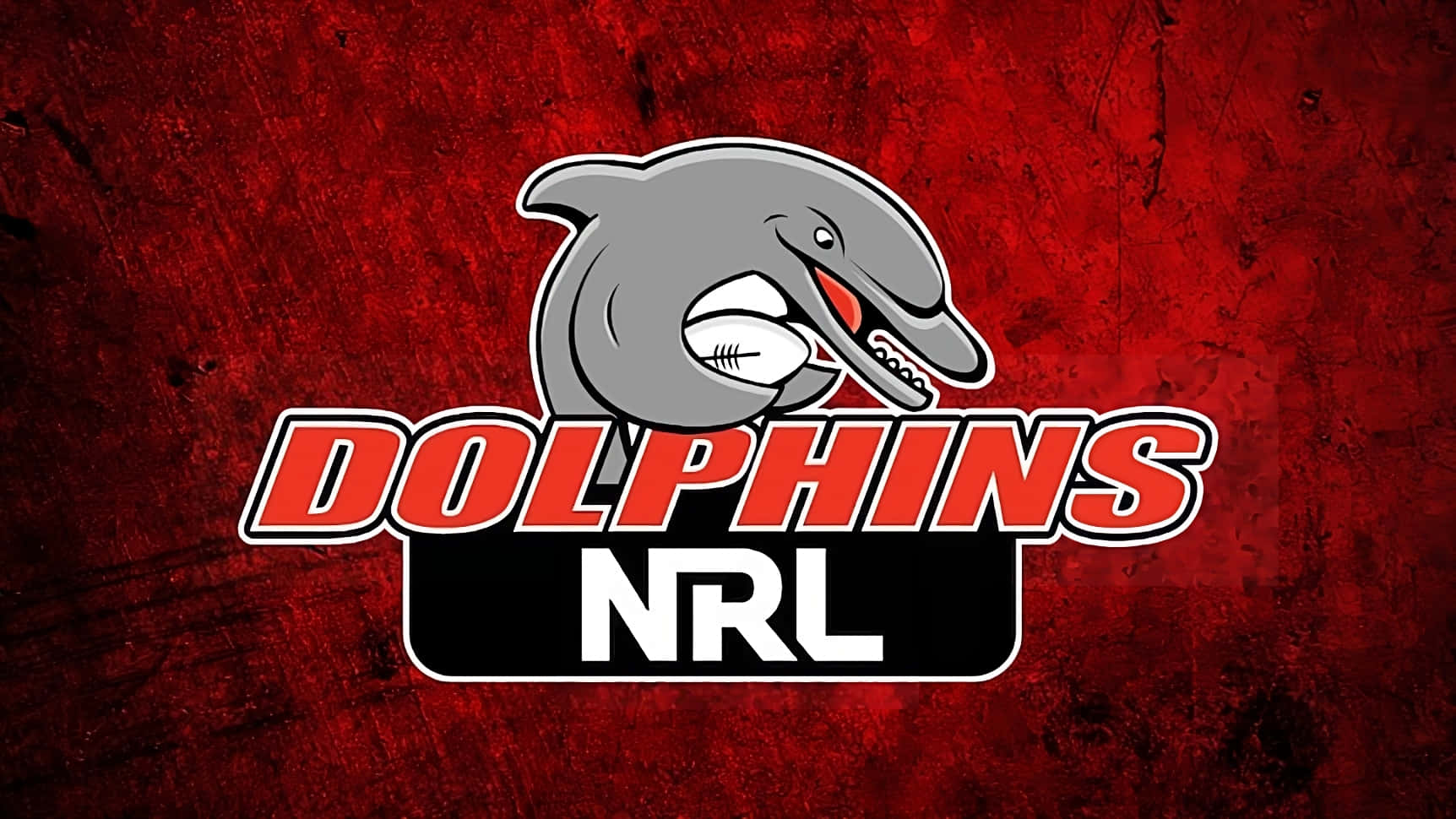 Dolphins Nrl Wallpaper