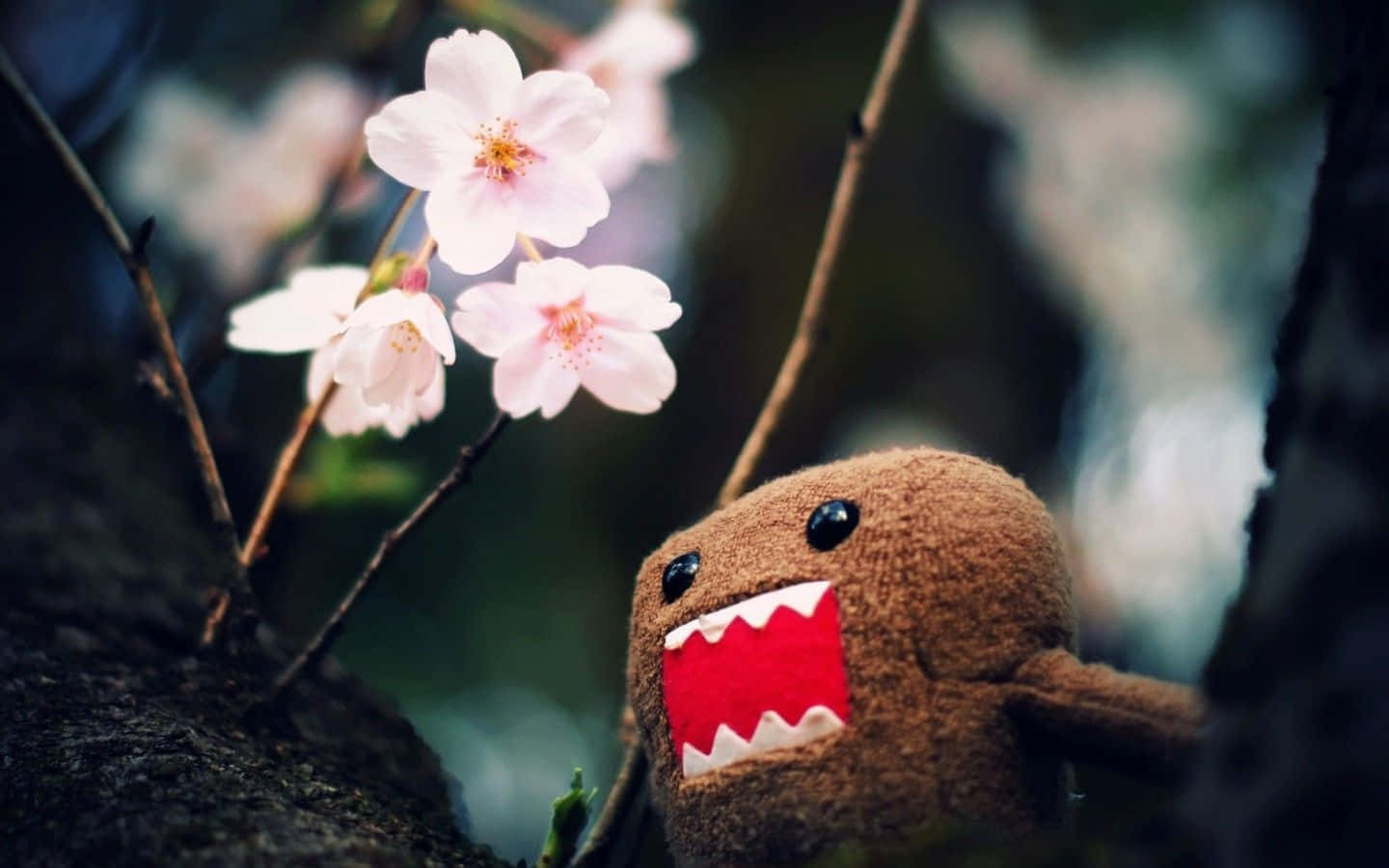 Domo Kun Cherry Blossoms Wallpaper