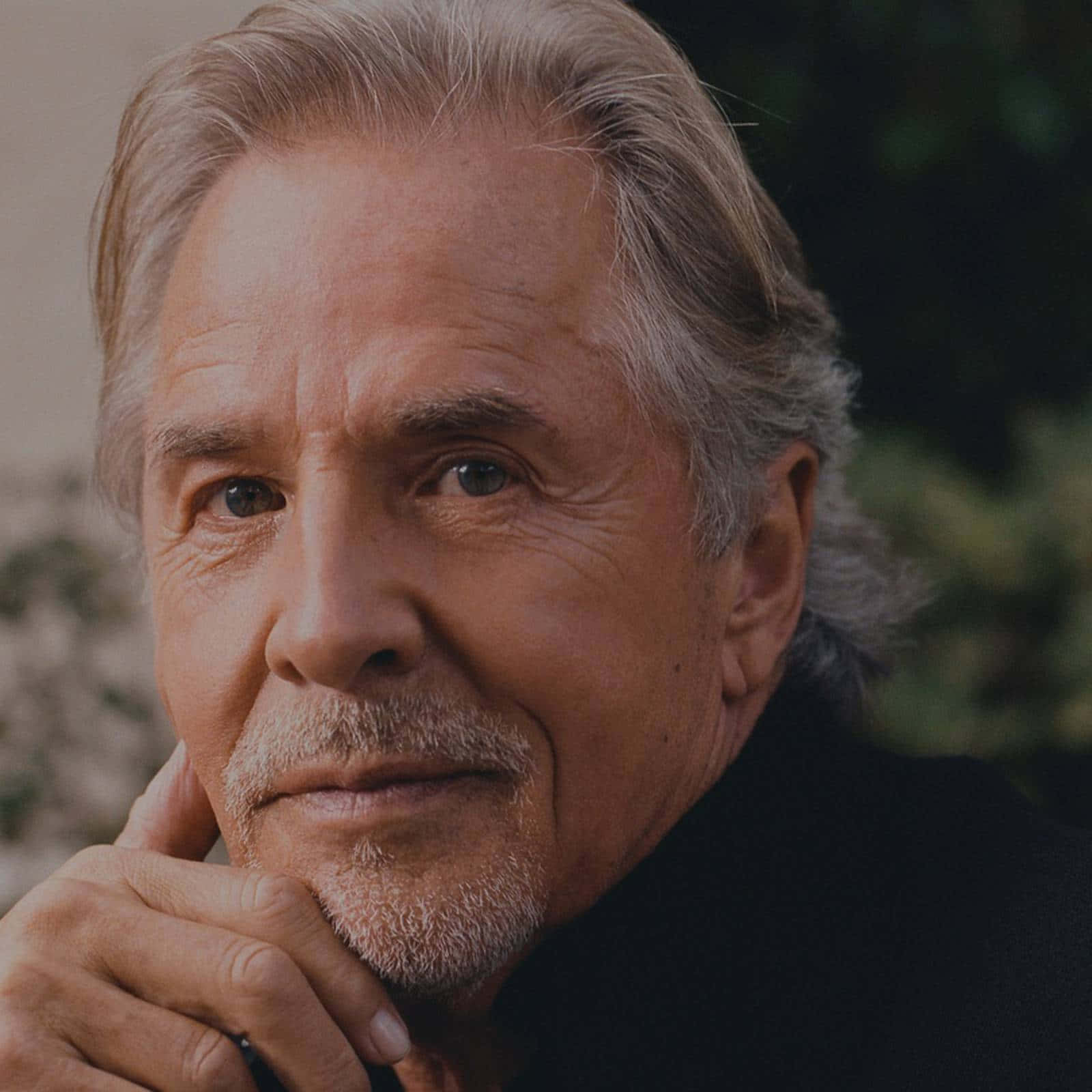 Don Johnson, Hollywood Actor. Wallpaper