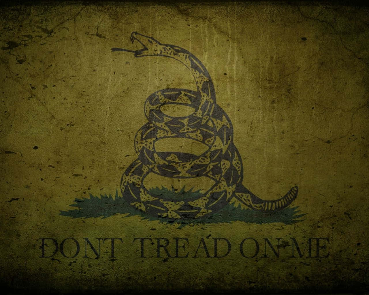 Don't Tread On Me Wallpaper