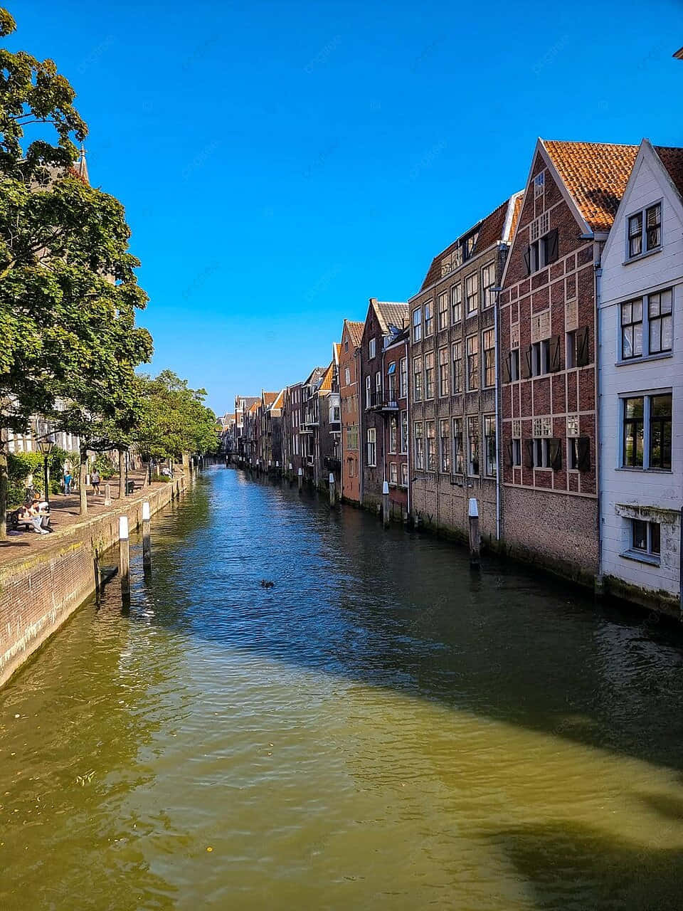 Dordrecht Canal Historic Architecture Wallpaper