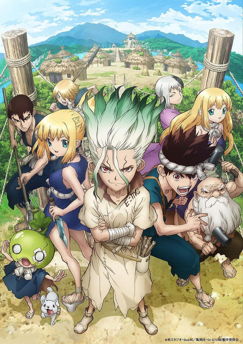 Dr Stone Anime Characters Poster Wallpaper