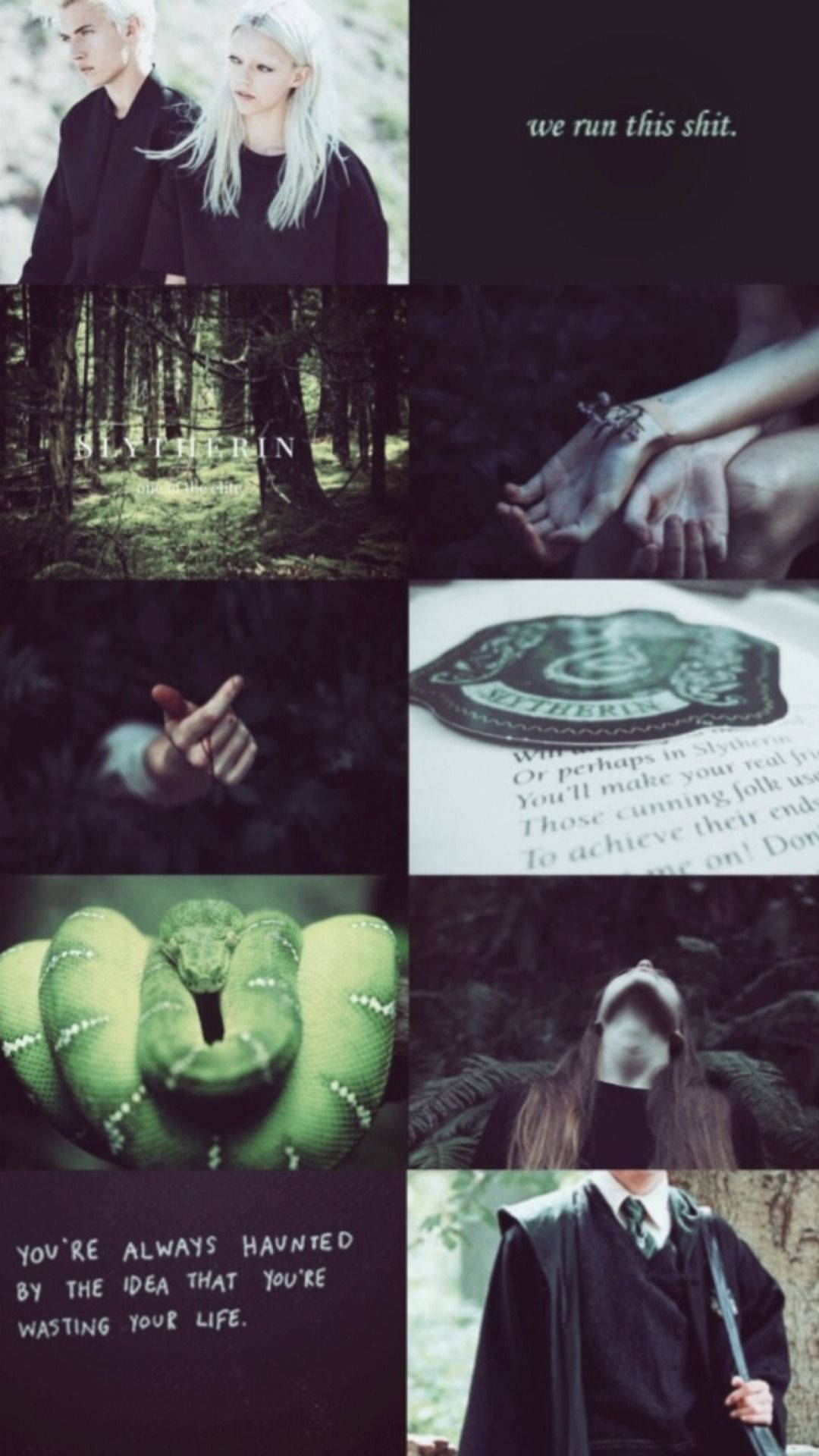 Draco Malfoy Slytherin Couple Aesthetic Wallpaper