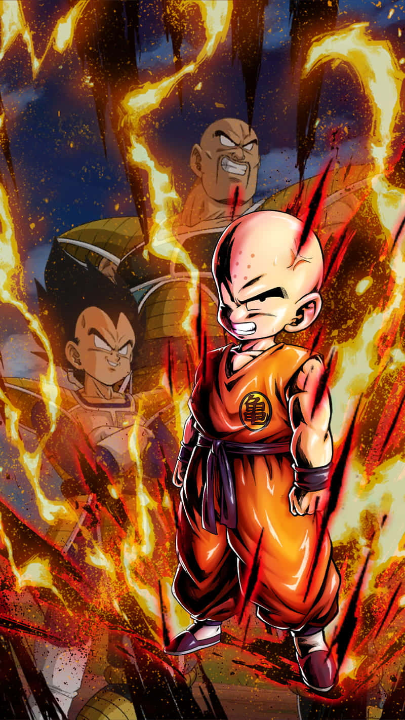 Dragon Ball Z Abridged Team Portrait Wallpaper