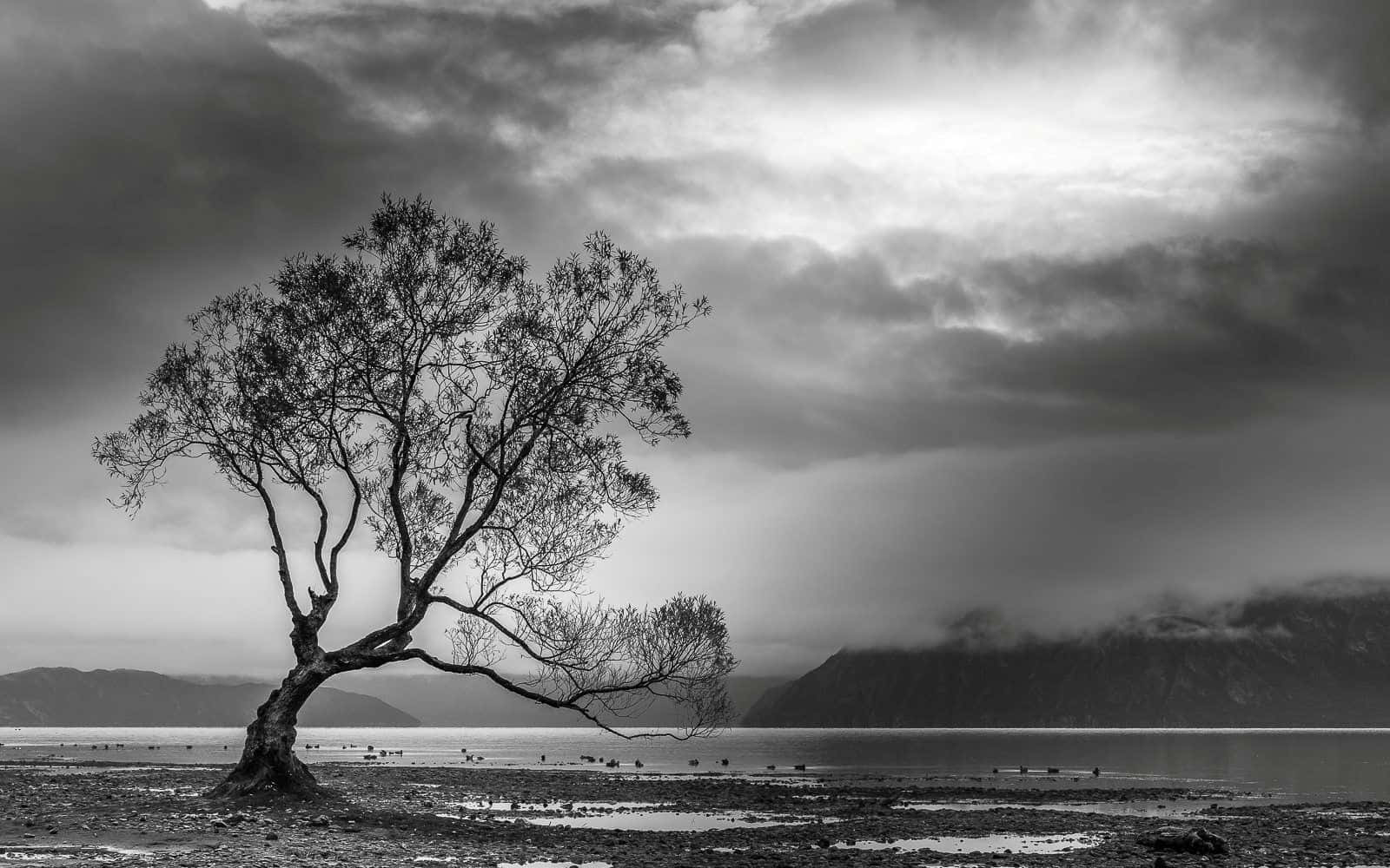 Dramatic Black And White Landscape Wallpaper