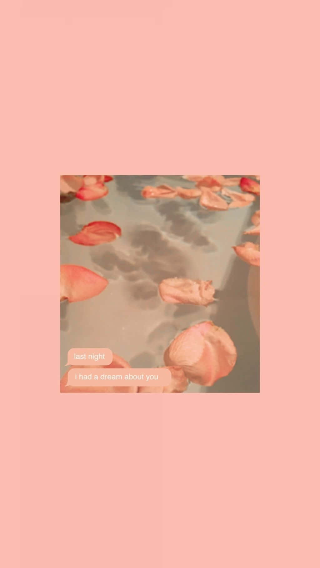 Dreamy Peach Petals Aesthetic.jpg Wallpaper