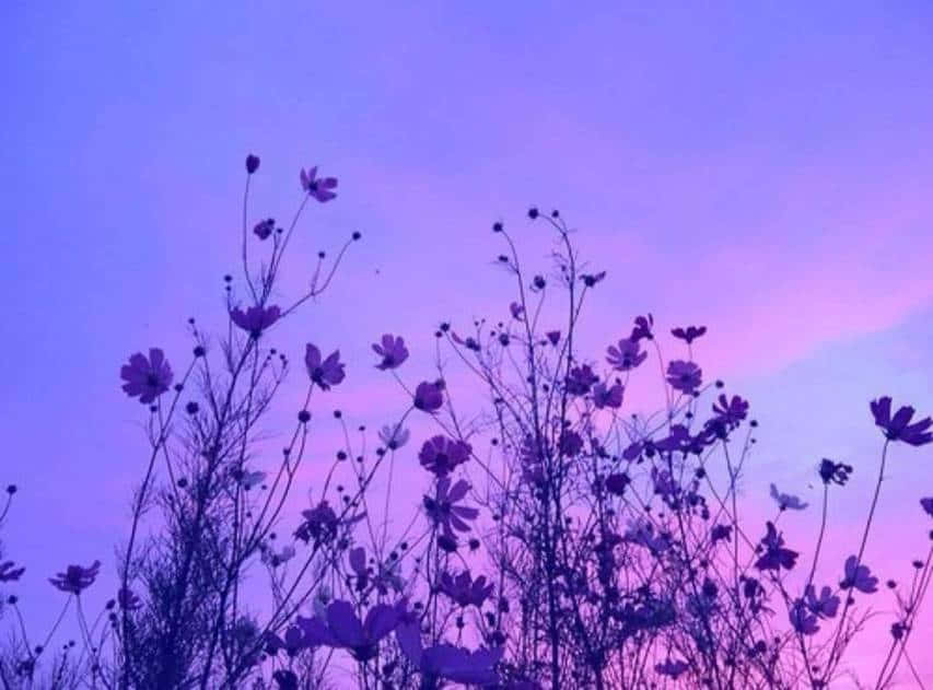 Dreamy Soft Pastel Colours Wallpaper