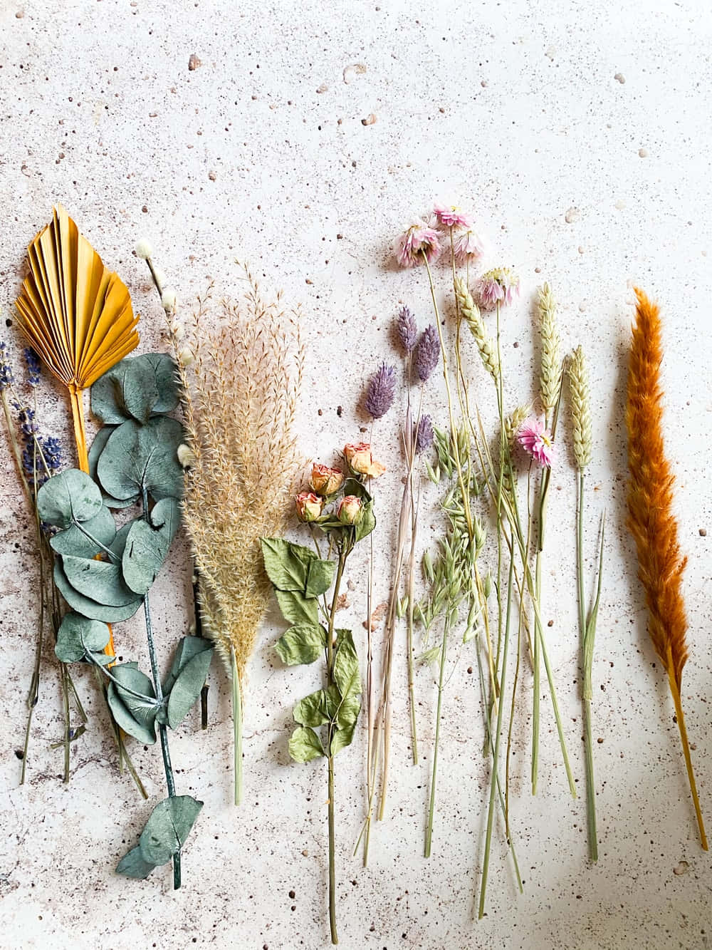 Dried Flowers 1000 X 1333 Wallpaper Wallpaper