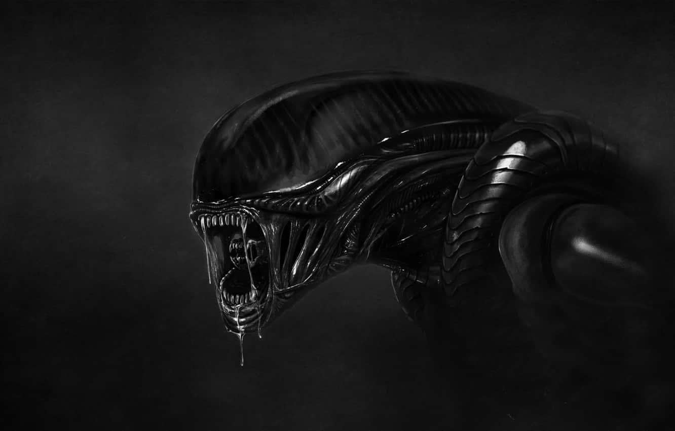 Droll Xenomorph Wallpaper