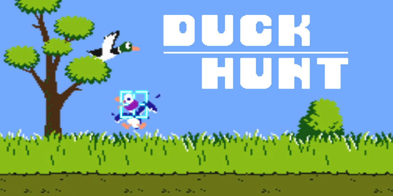 Duck Hunt Field Target Wallpaper