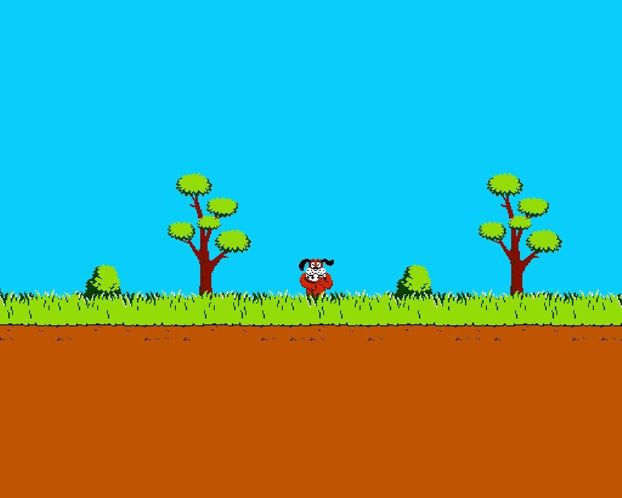 Duck Hunt Target View Wallpaper