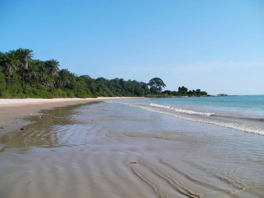 Dulombi Boe National Park Guinea Bissau Wallpaper