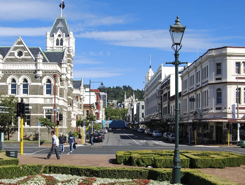 Dunedin Cityscape New Zealand Wallpaper