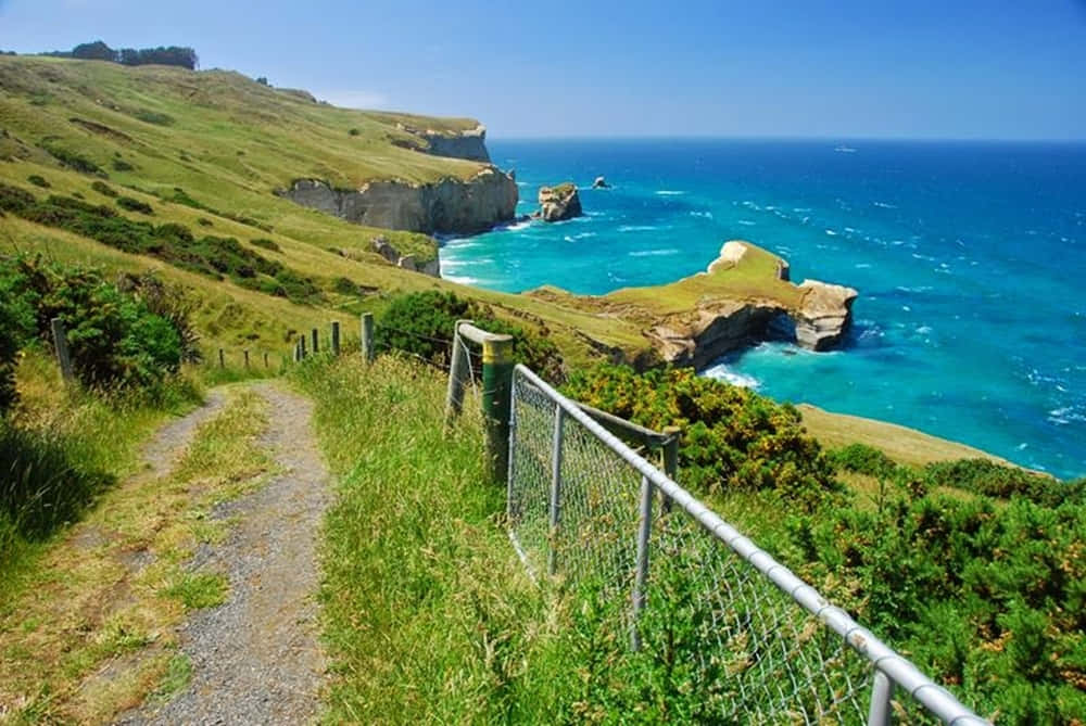 Dunedin Coastal Pathway New Zealand Wallpaper