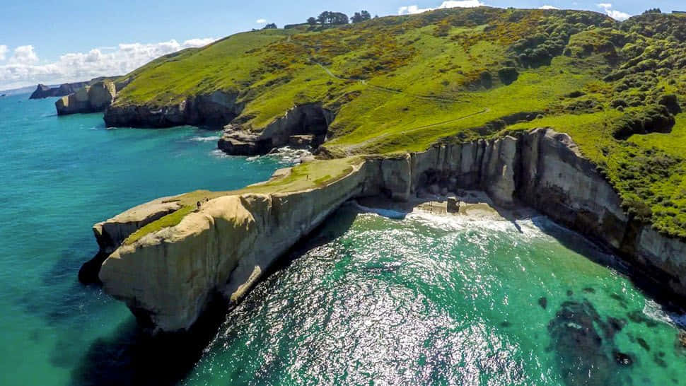 Dunedin Coastline Aerial View Wallpaper