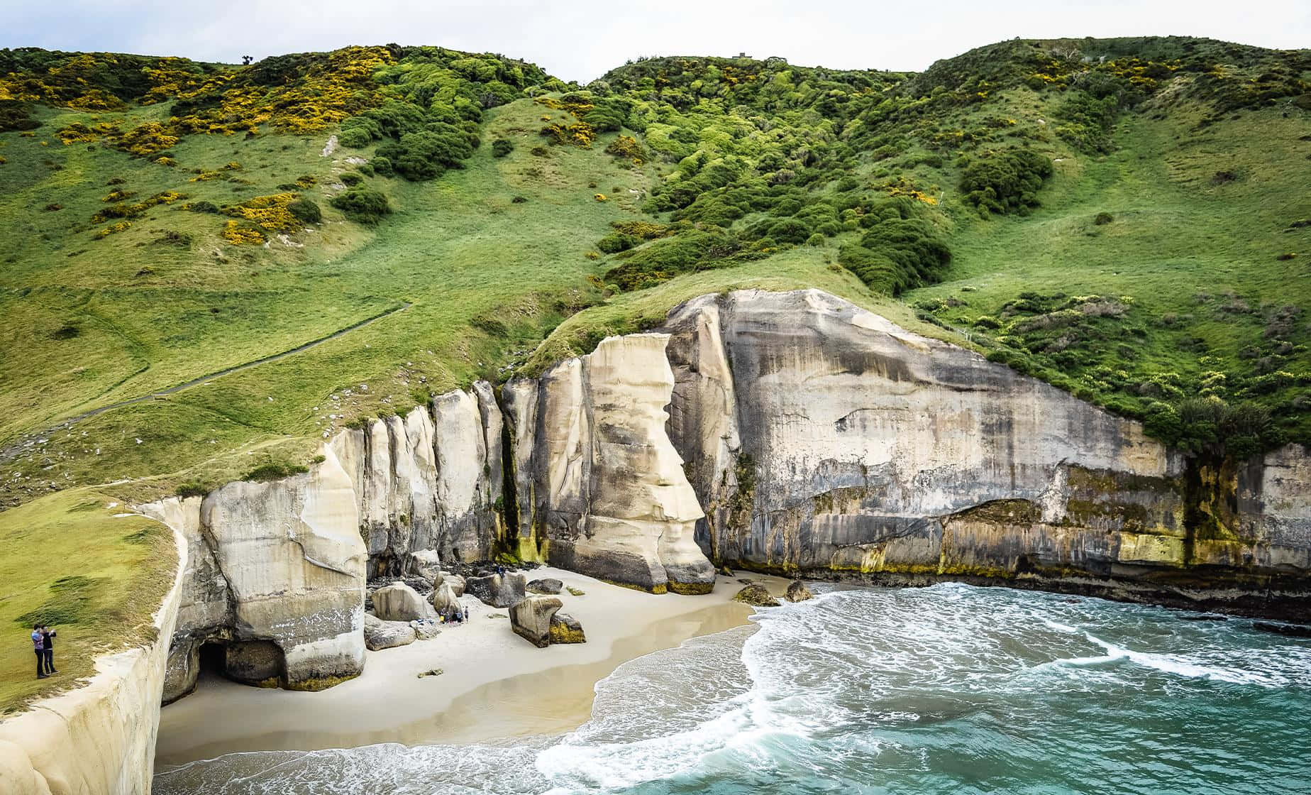 Dunedin Coastline Cliffsand Beach Wallpaper