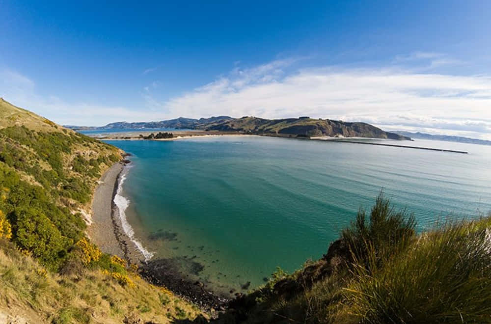 Dunedin Coastline New Zealand Wallpaper