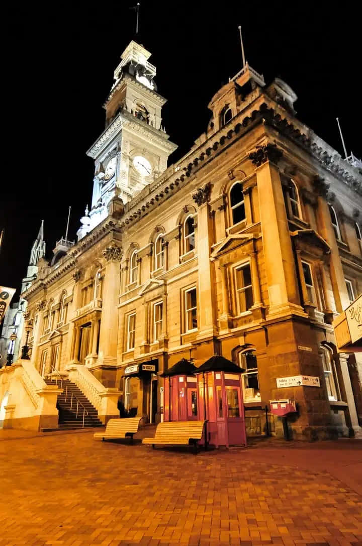 Dunedin Town Hall Night View Wallpaper