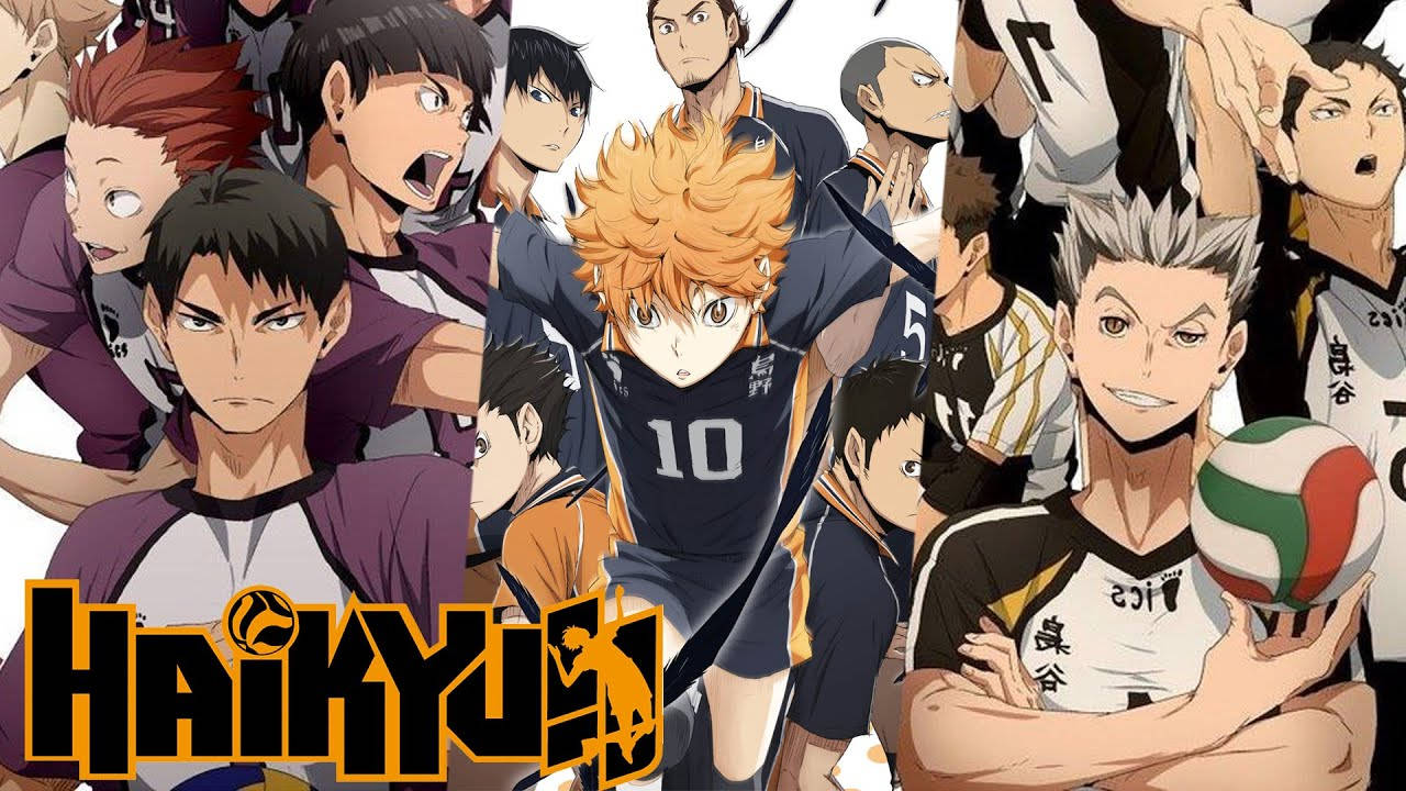 Dynamic Haikyuu Desktop Wallpaper Wallpaper