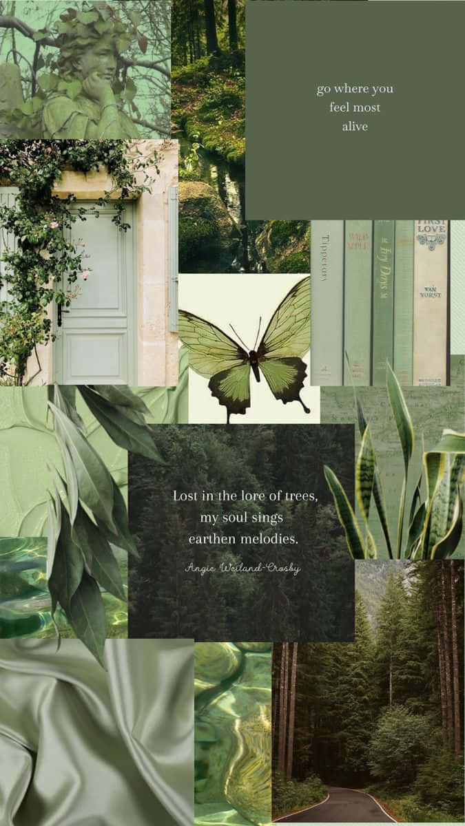 Earthy_ Inspiration_ Moodboard Wallpaper