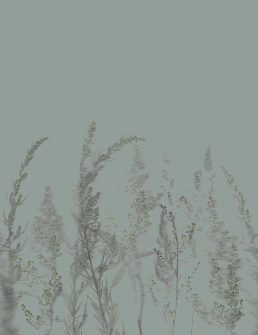 Earthy Whispering Grasses Wallpaper