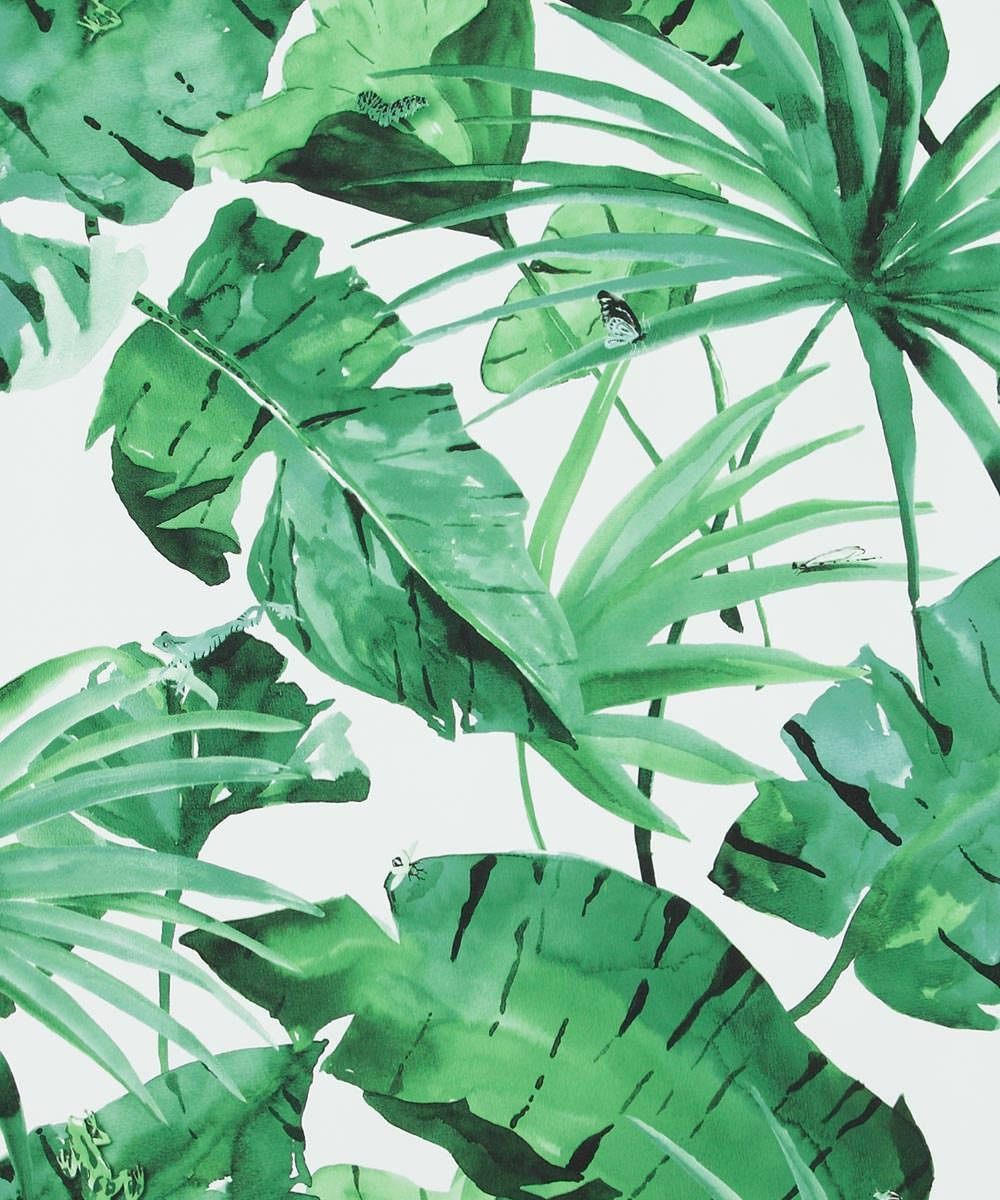 Eco-friendly Cushions Made Of Banana Leaves Wallpaper