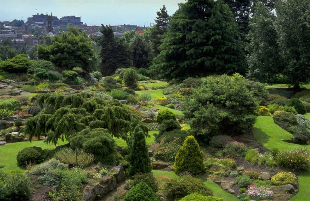 Edinburgh Botanic Garden Lush Greenery Wallpaper