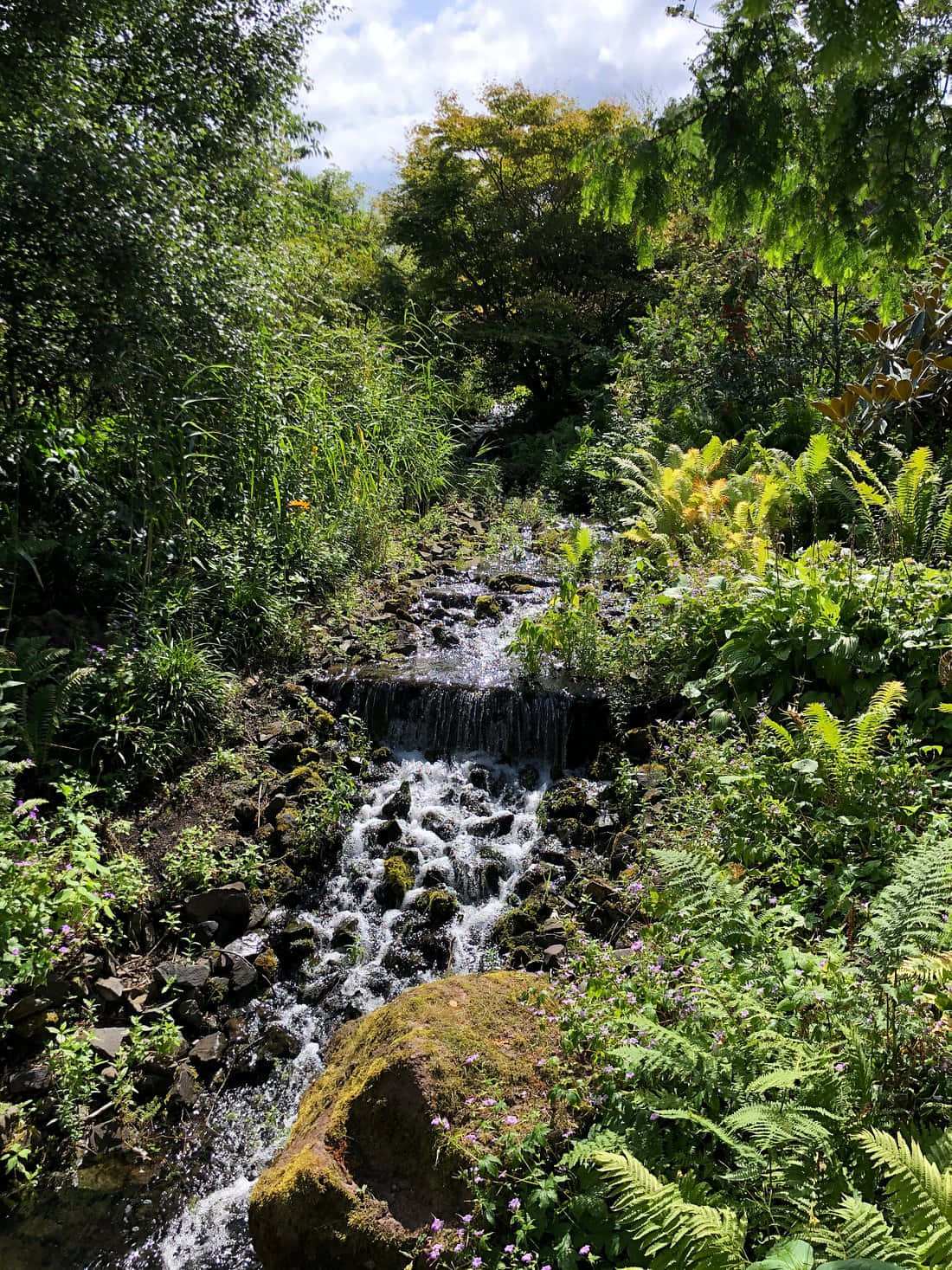 Edinburgh Garden Stream Cascade Wallpaper