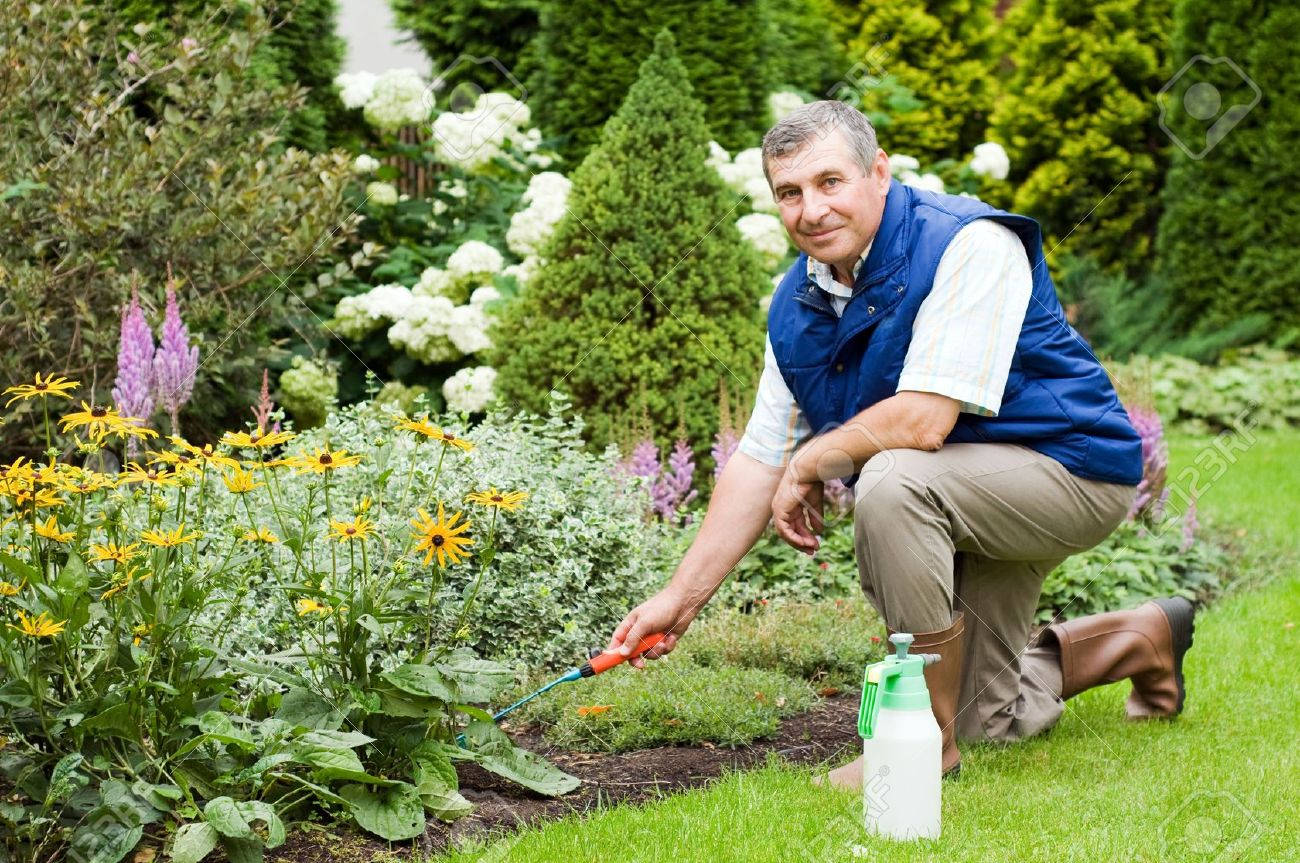 Elder Man Gardening Wallpaper