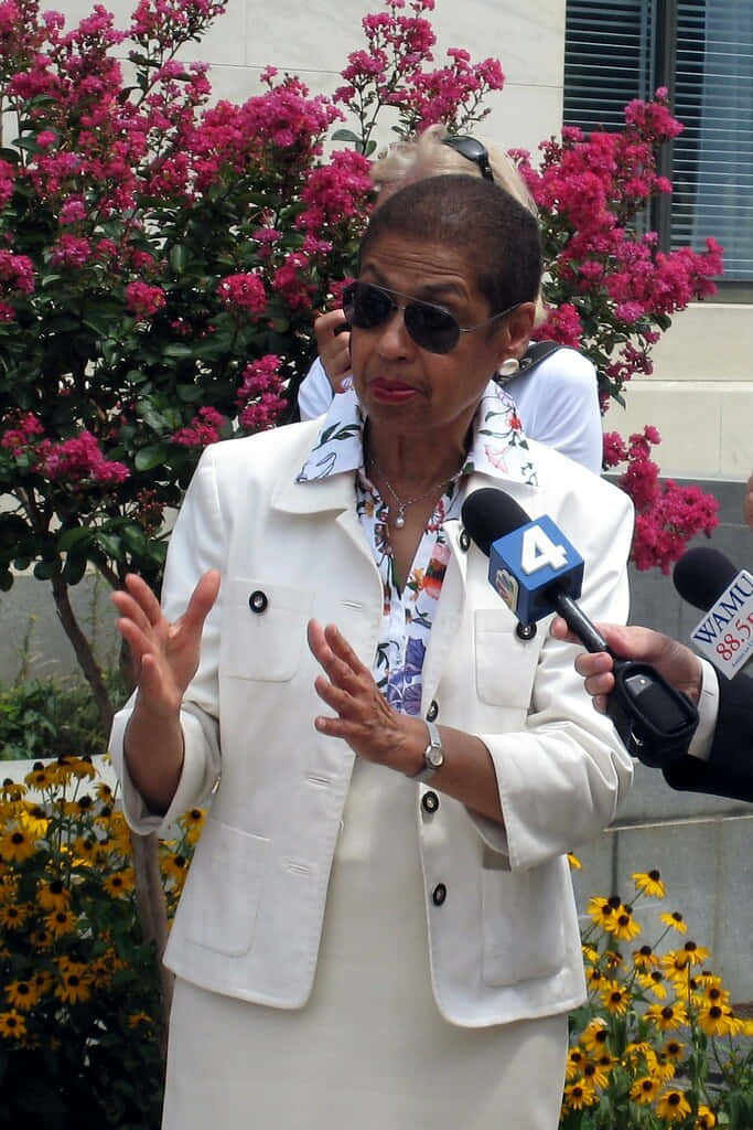 Eleanor Holmes Norton Engaging In A Speech Wallpaper